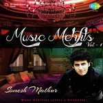 Music Mehfils Vol. - 1 - Hidayat Khan Song Download